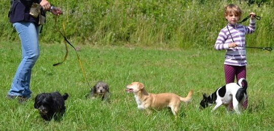 Auch Ihre Kinder sollten bei einem guten Hundetrainer willkommen sein.
