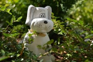 Kleine Hunde passen überall hin....