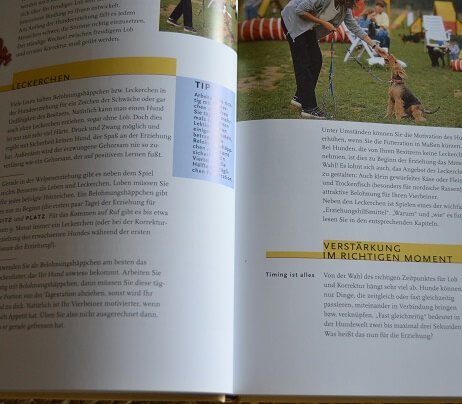 Viele Bücher bergen echtes Wissen.