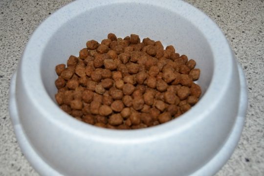 Hochwertiges Futter beinhaltet das richtige Verhältnis zwischen Fleisch und Getreide.