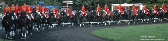 Dressurquadrille