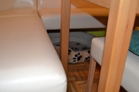 Unter der Essecke ebenfalls ein Hundebettchen