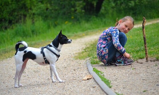Kinder und Hunde - eigentlich eine tolle Verbindung.