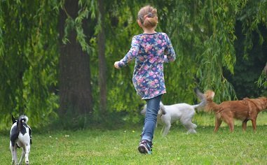 Kinder müssen den Umgang mit Tieren erst lernen.