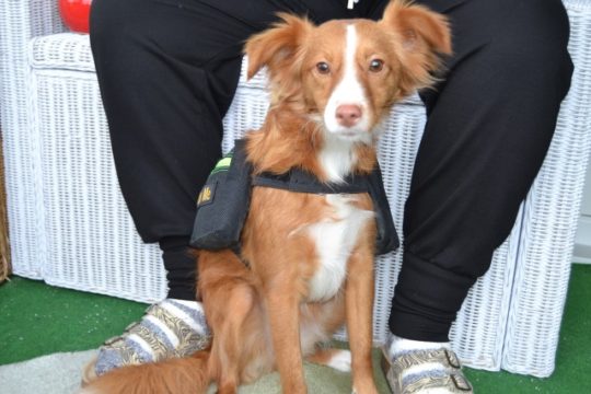Sasha und ihre Packtasche