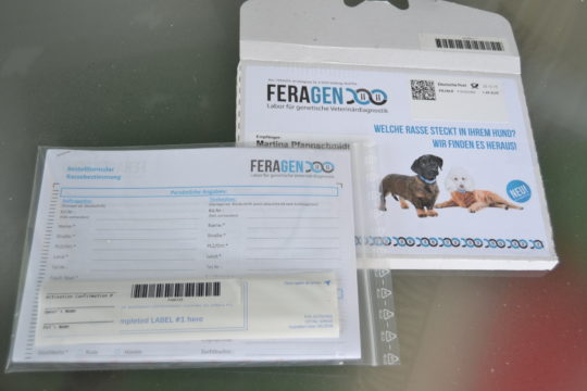Das Testpaket