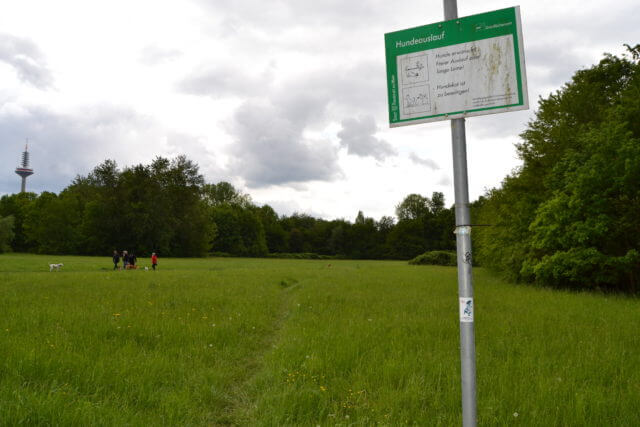 Hier gibt viel Platz zum rennen und toben