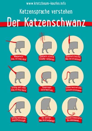 Quelle: www.kratzbaum-kaufen.info