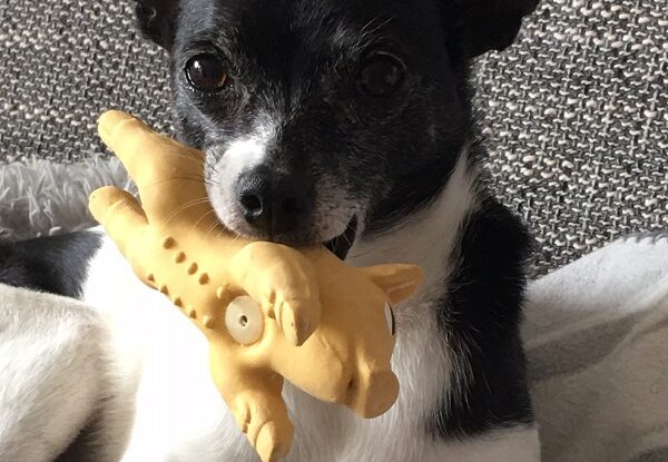 Amy und Miss Piggy