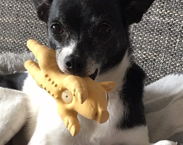Amy und Miss Piggy