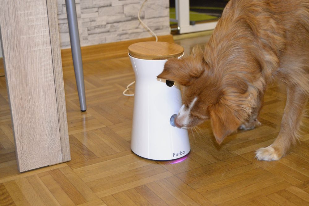 Wie...Furbo-Dog-Camera...? Ich will das da drin!