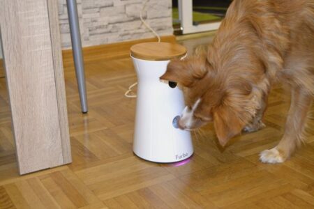 Wie...Furbo-Dog-Camera...? Ich will das da drin!