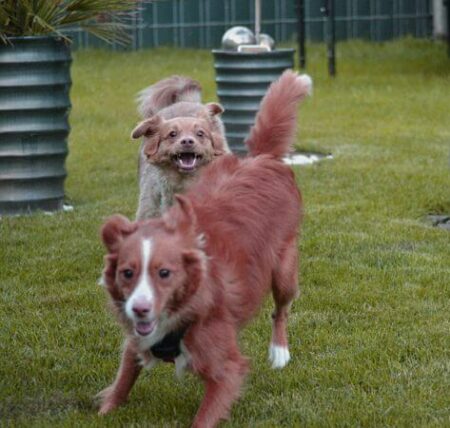 ... fang mich doch..., schaffste nich....
