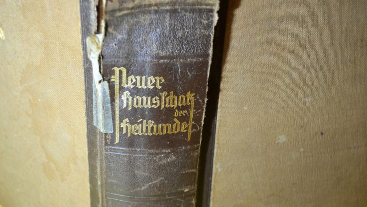 Sodbrennen beim Hund