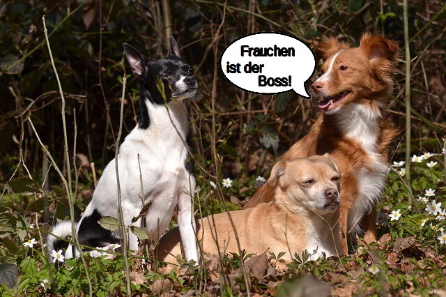 Ist doch klar Schätzchen