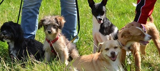 Dürfen wir jetzt endlch spielen?