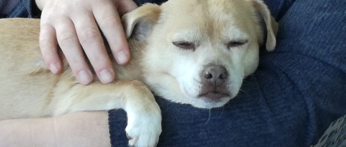 hmmm......... Mir is soo schlecht