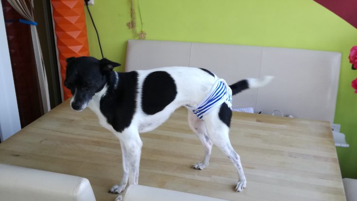 Die mag ich, kannste dran lassen Alles im grünen Bereich, sitzt, wackelt und hat Luft