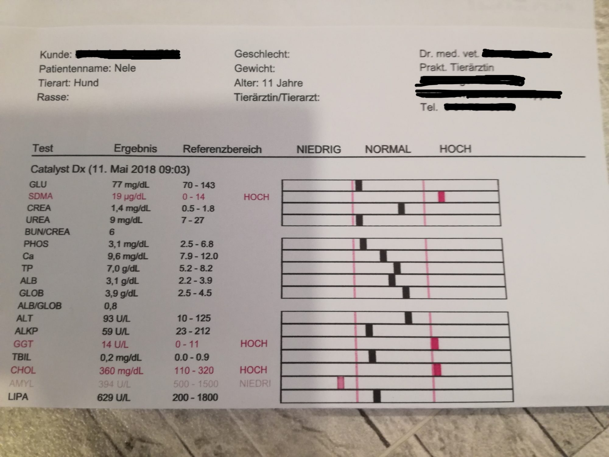 Niereninsuffizienz, wenn die Nieren nicht mehr ausreichend arbeiten.