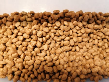 Trockenfutter für Hunde