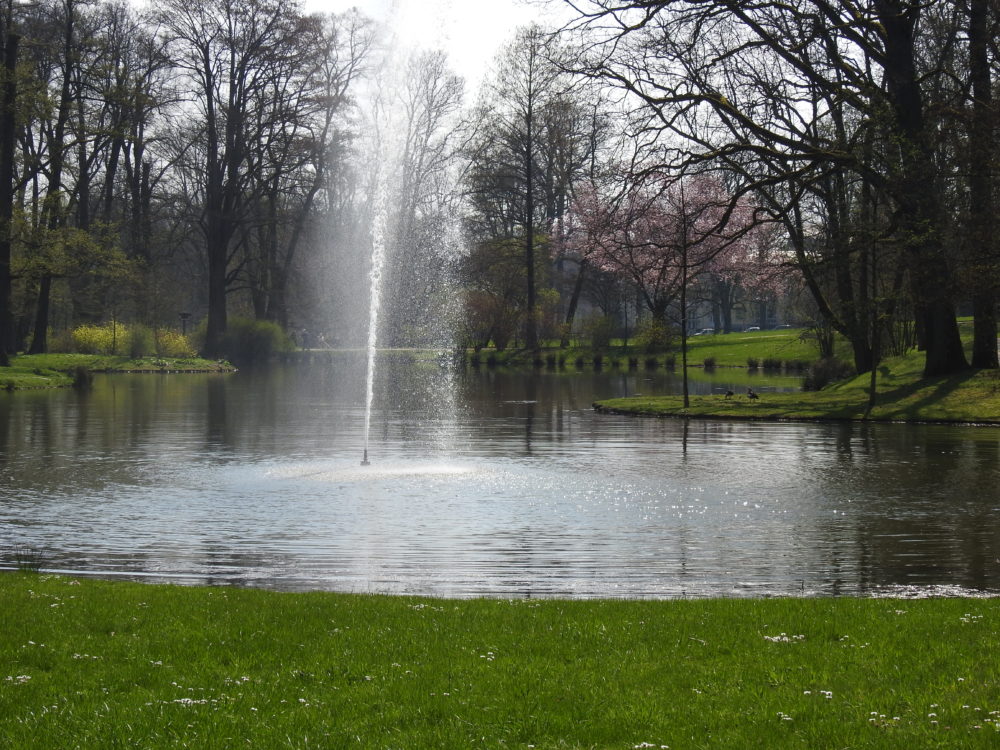 Der See im Jugenpark Bad Homburg