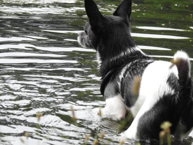 Wasser, Wasser, Wasser - gegen Überhitzung Wasser, Wasser, Wasser