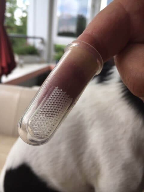 Zahnbürste für Hunde Zahnbürste für Hunde